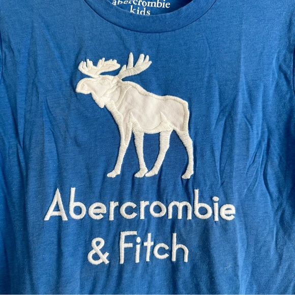 Blue Abercrombie & Fitch Kids T-Shirt - Picture 3 of 9